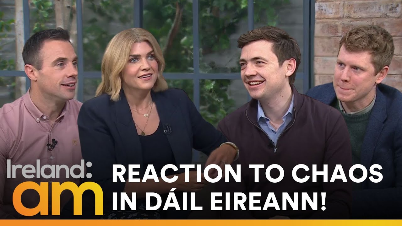 Chaos in the D&aacute;il explained!