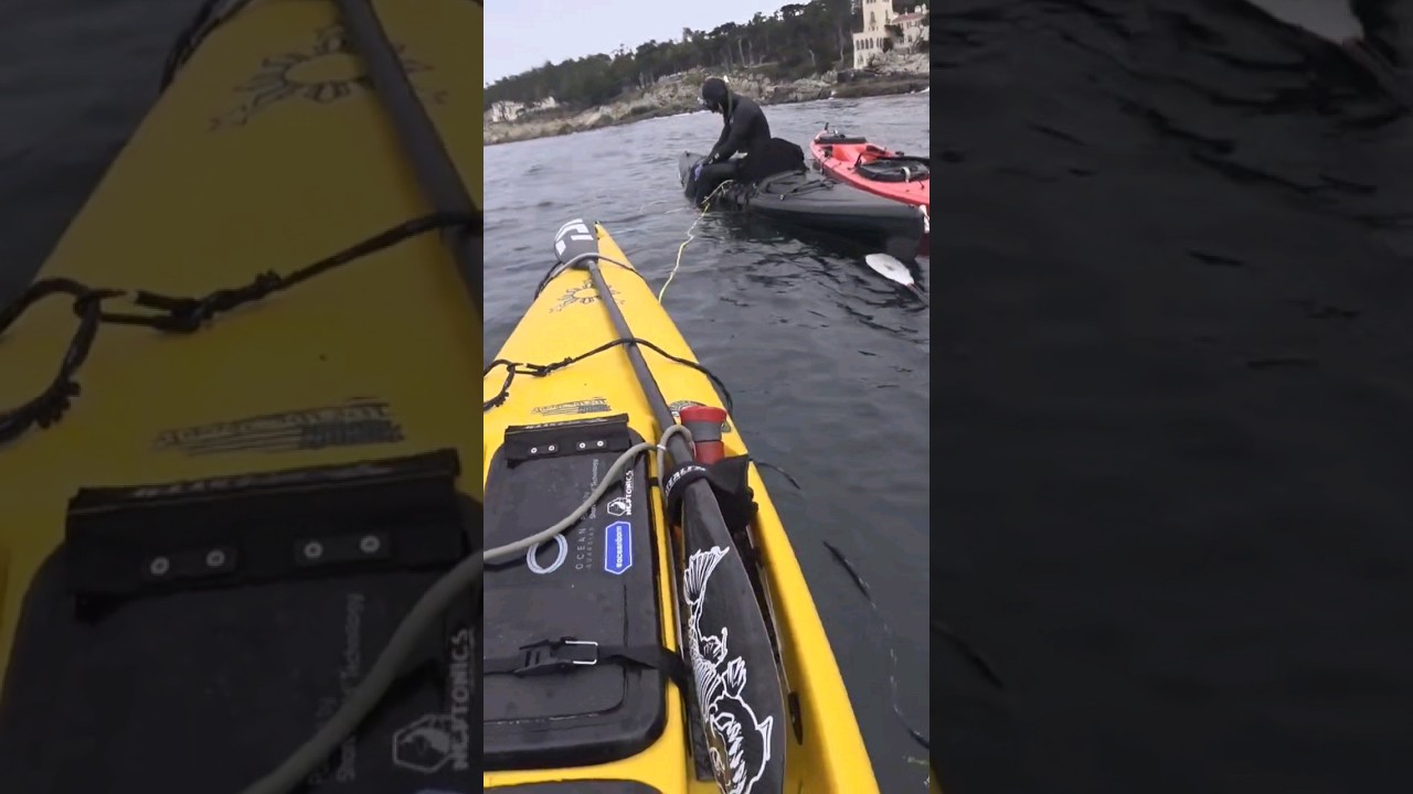 Diving in front of Mansions #spearfishing #diving #Carmel #stealthkayaks