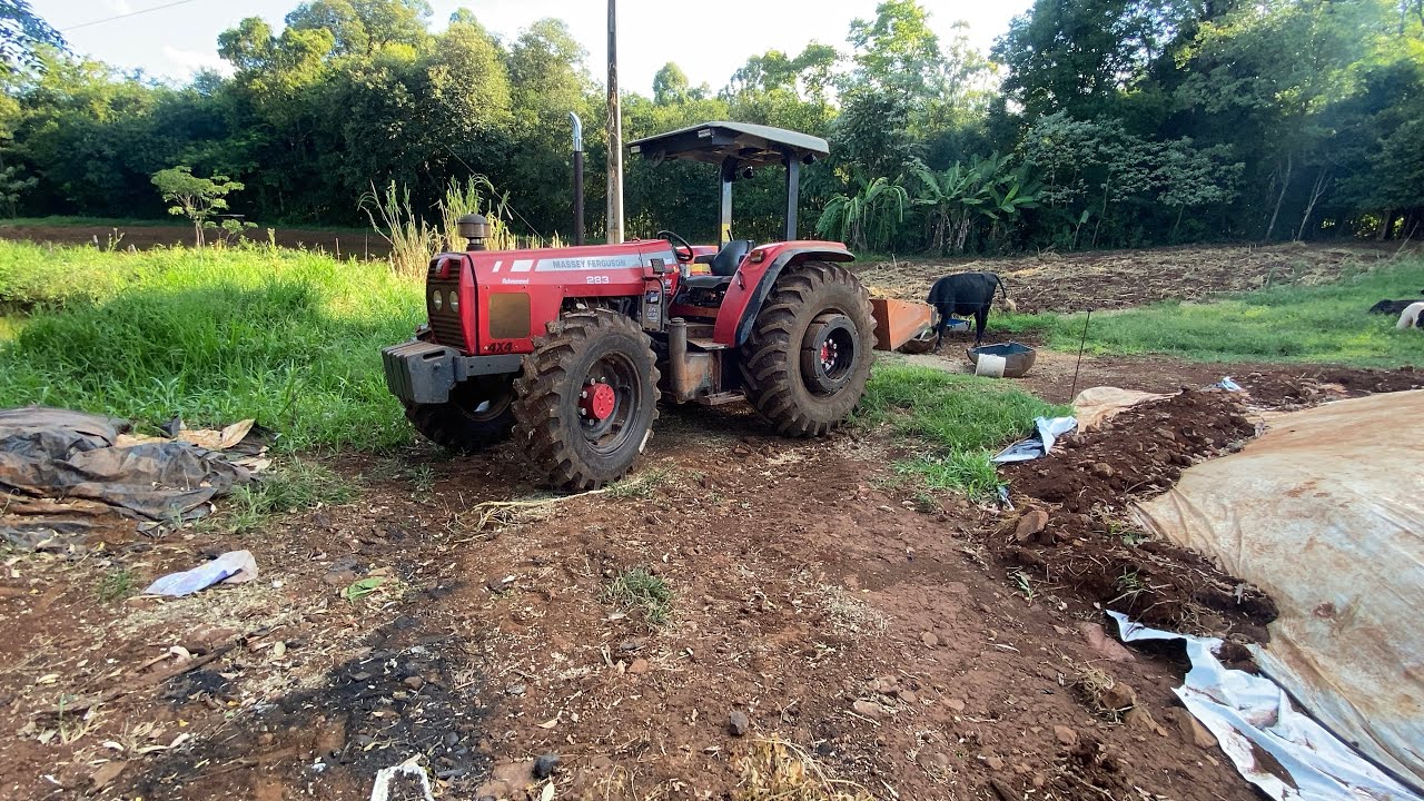 TRATANDO OS BOIS E OS TOUROS DE ENGORDA COM O TRATOR MASSEY FERGUSON 283 ￼