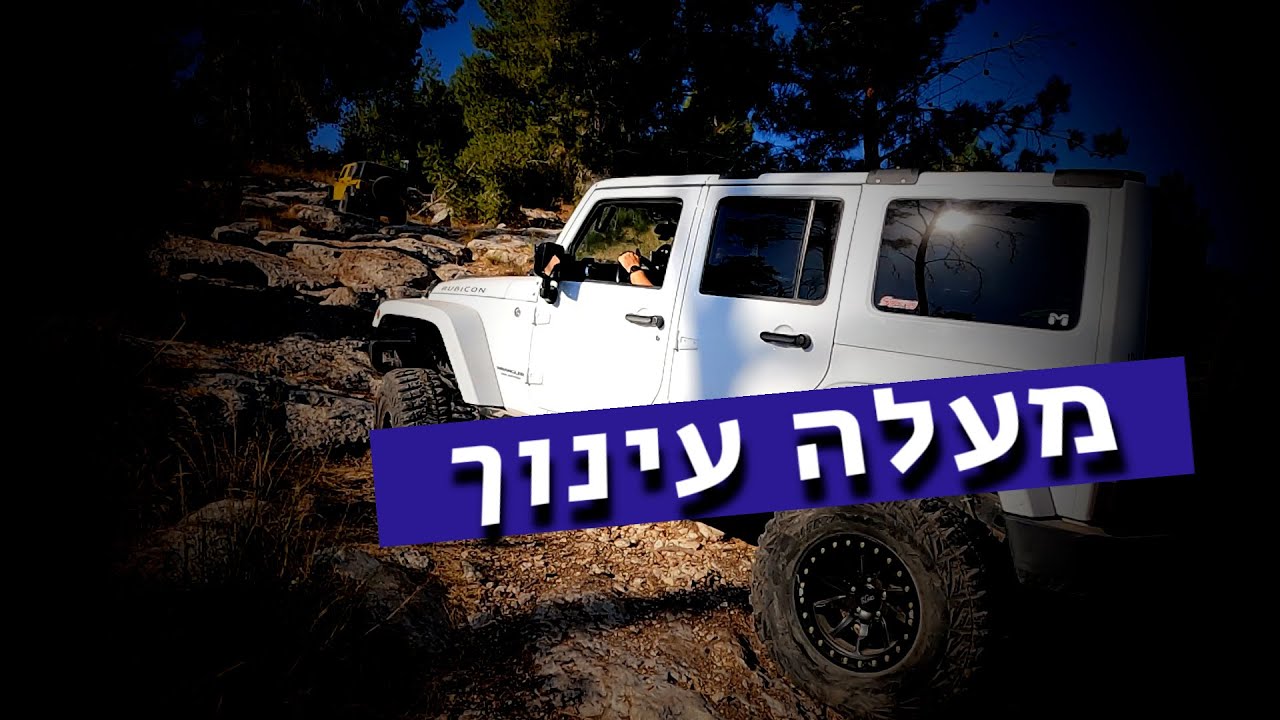מעלה עינוך. יער צרעה יולי 2023