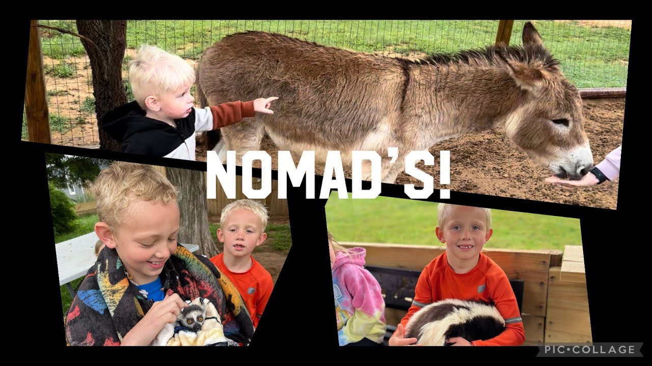 Nomad’s Animal Encounter!