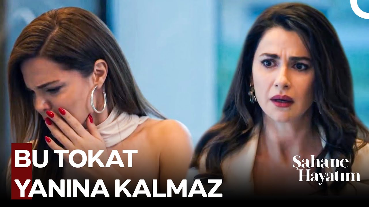 Şebo'ya Dokunmanın Bedeli Ağır Olur! - Şahane Hayatım