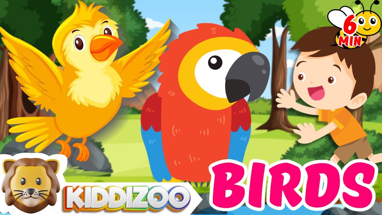 Fascinating Birds Facts for Kids: Fun with Birds #birds #kiddizoo #funfacts