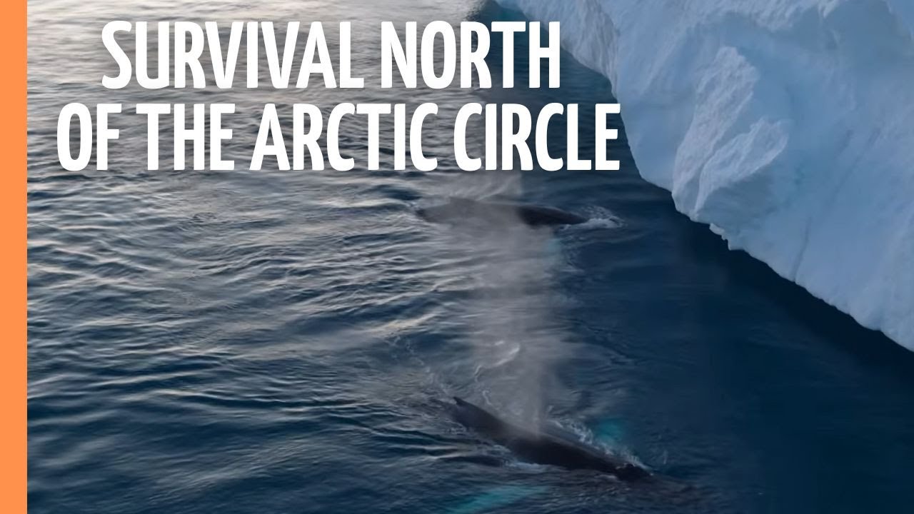 Gr&oslash;nland &ndash; Survival North of the Arctic Circle in one of the Harshest Areas in the World