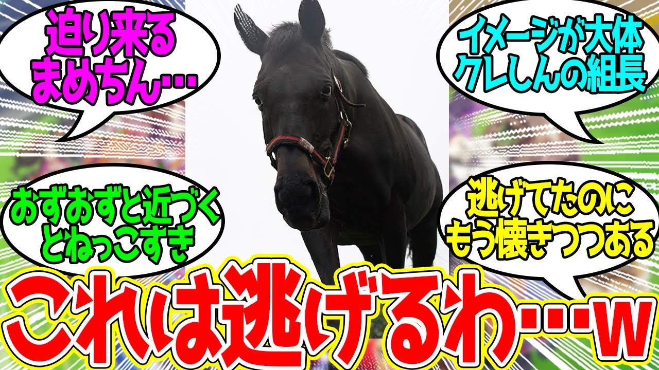 まめちん先生「せんせい、こわくないよね？」に対するみんなの反応！【競馬 の反応集】