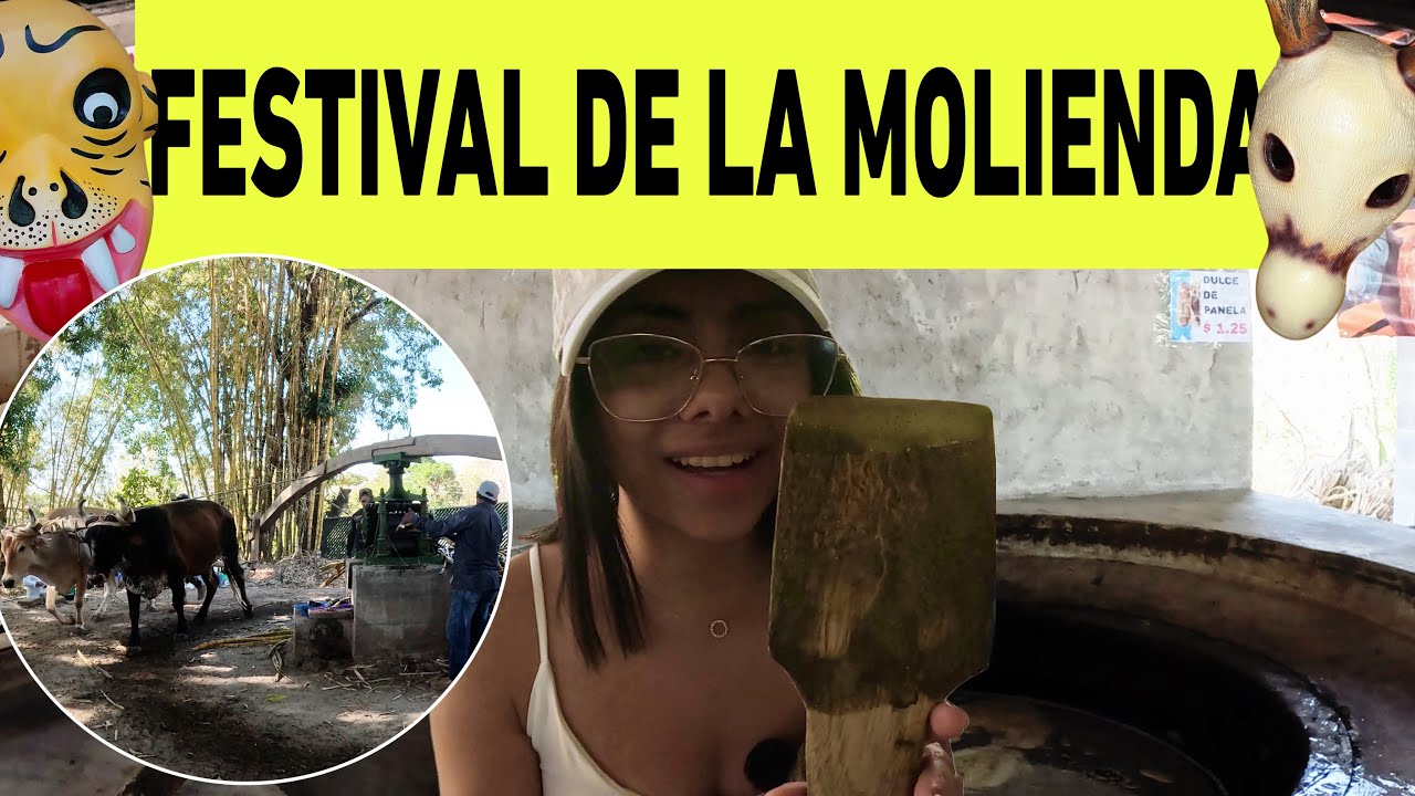 Festival de la Molienda🇸🇻🇸🇻/Asi hacen la panela artesanal  en El Salvador 🍯🍯🍯