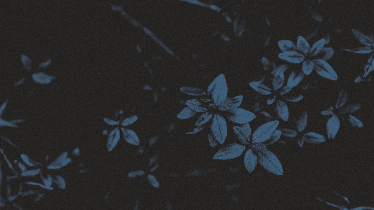 shye - love u [slow+reverb+rain]