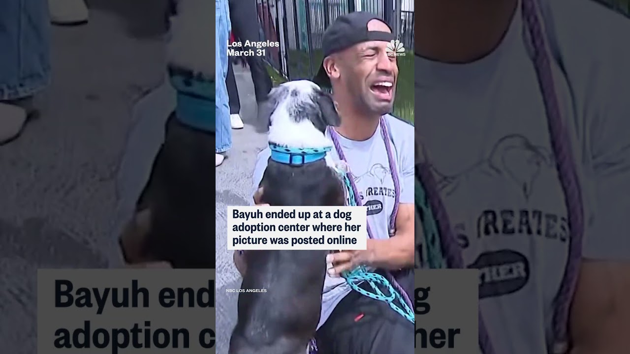 A man in California is reunited with his dog after it was stolen three years ago: