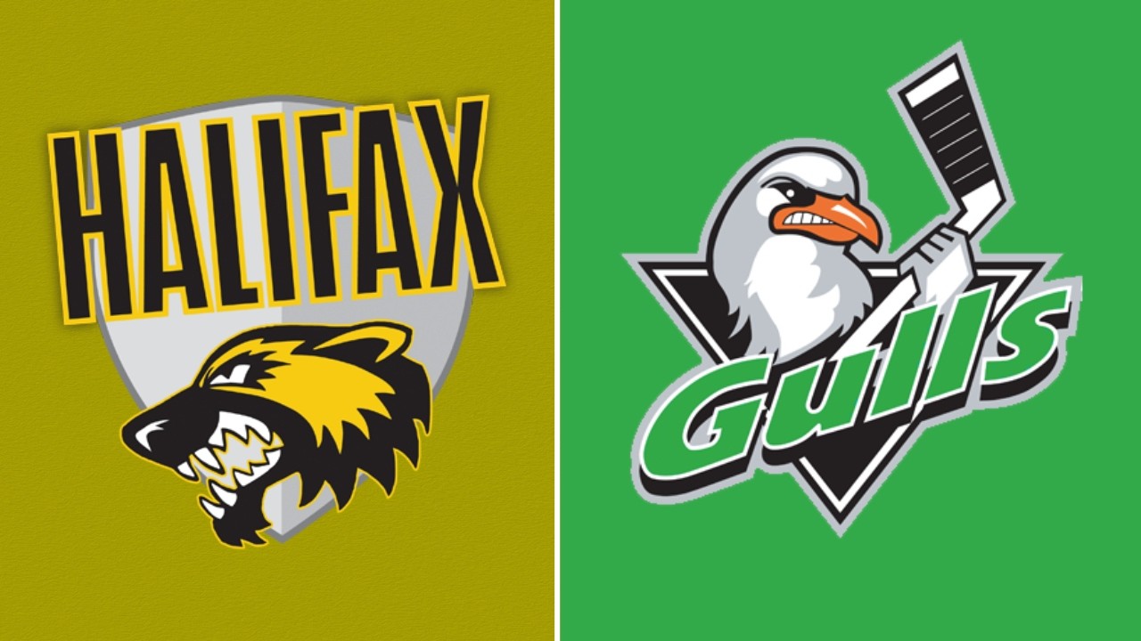 Halifax Wolverines vs The Gulls - U15 Major - 02/28/2026