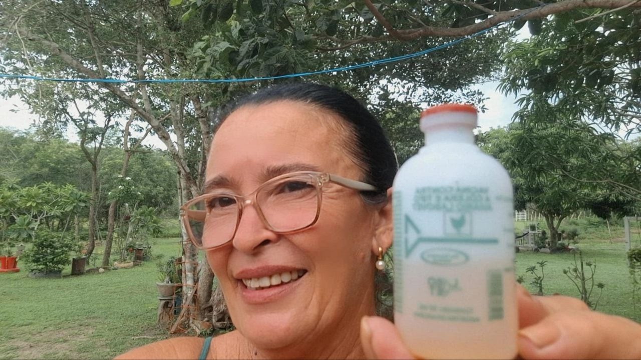 🚨 CÓLERA AVIÁRIA: Sintomas Que Matam RÁPIDO e Como Tratar Antes Que Seja Tarde!