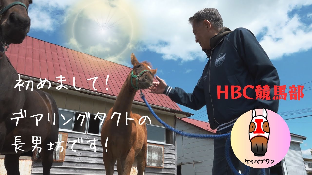大物の予感！デアリングタクト＆初仔が登場！メロディーレーンの最新情報も！