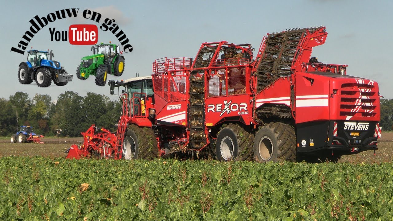 Bieten rooien 2025 met GRIMME REXOR 6300. Loonbedrijf Stevens Wildervank. oost Groningen farmers 4K.