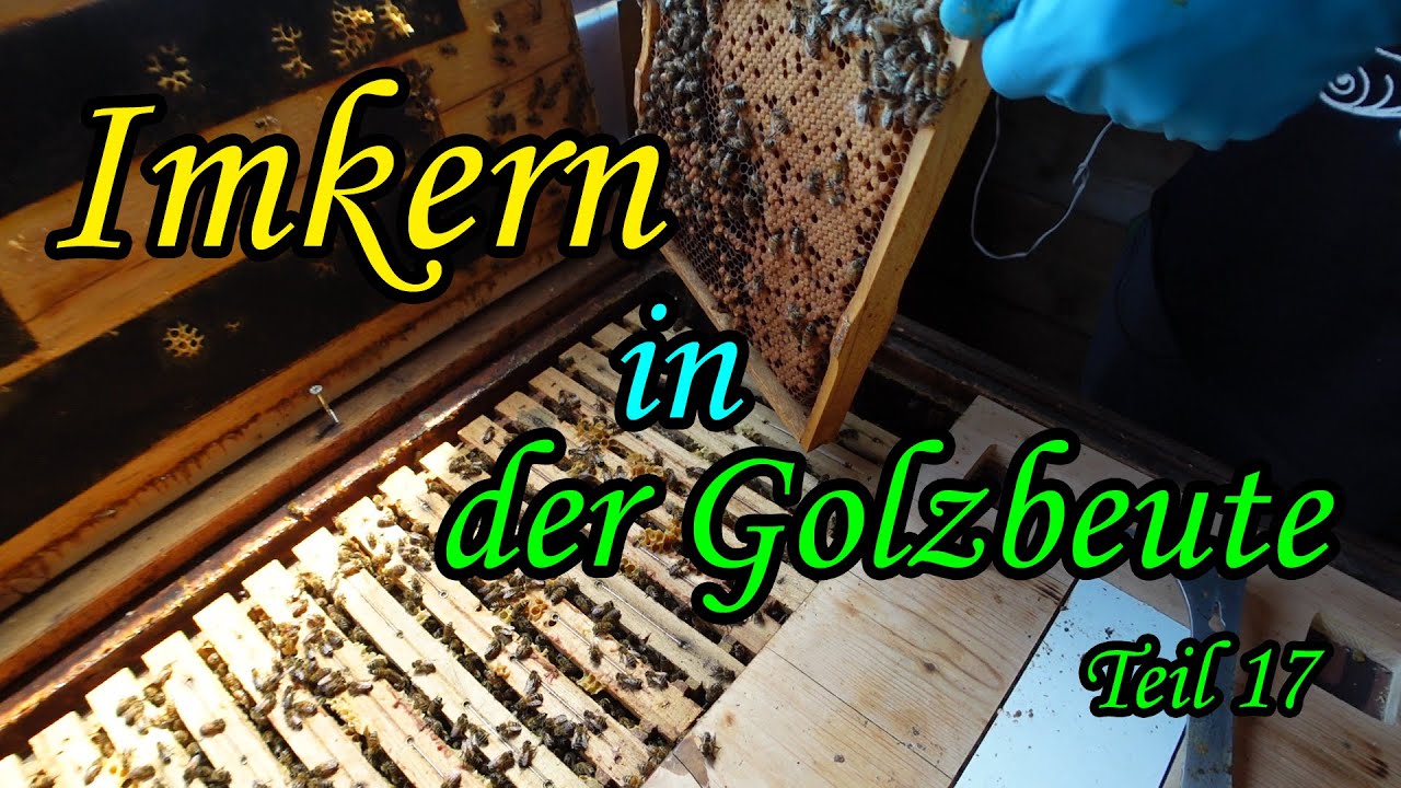 Imkern wie da Jupp Golzbeute Teil 17