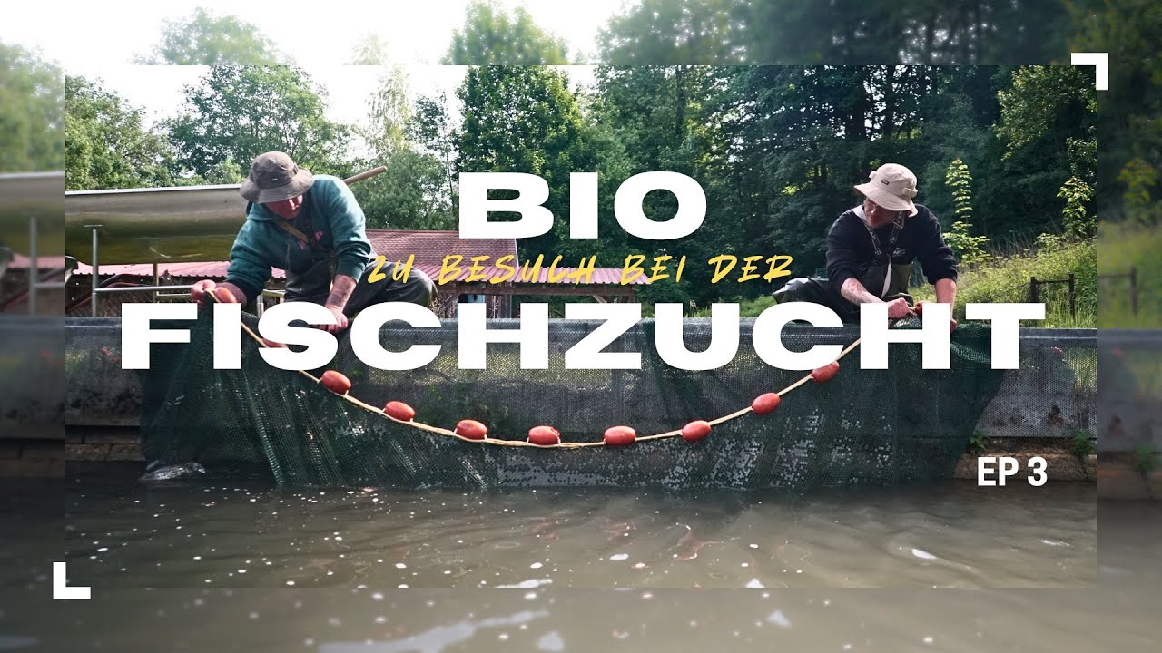 Was passiert wirklich in einer BIO-Forellenzucht?