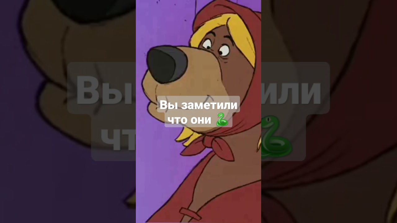 Знакомьтесь Хиз🐍
