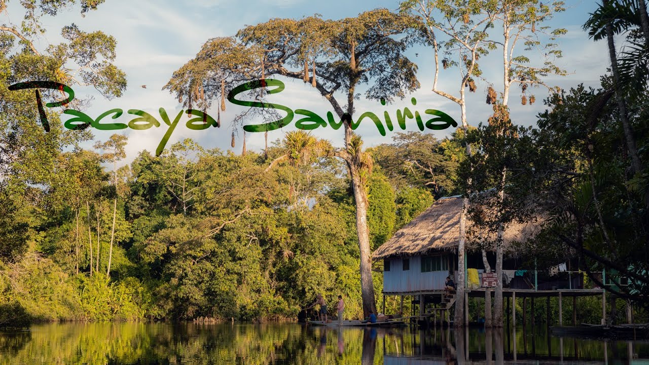 Pacaya Samiria - Canoe trip in the jungle of PERU (day 1)