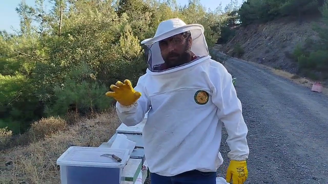 En hızlı/kolay ana değiştirme yöntemi