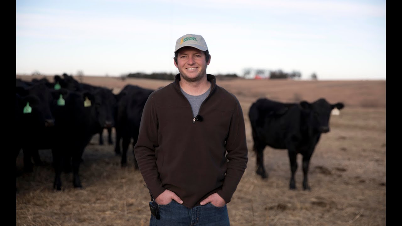 Stand Strong Simmental:  Sunflower Genetics