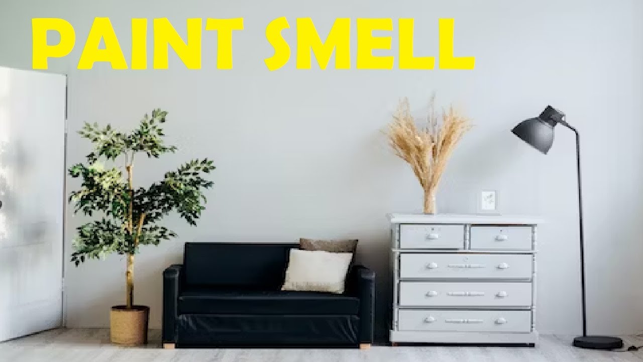 how to get rid of paint smell in a newly painted room