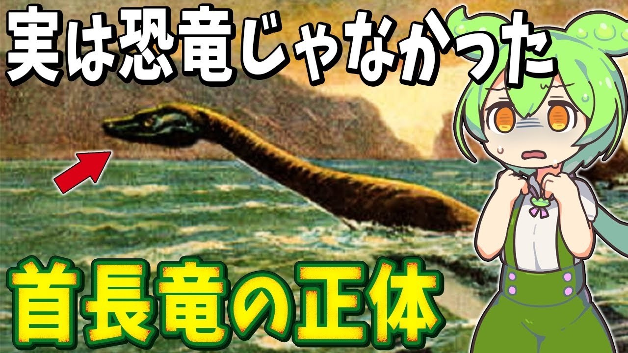 生物の7選！実は恐竜じゃなかった！？“首長竜”の正体に迫る！【総集編】