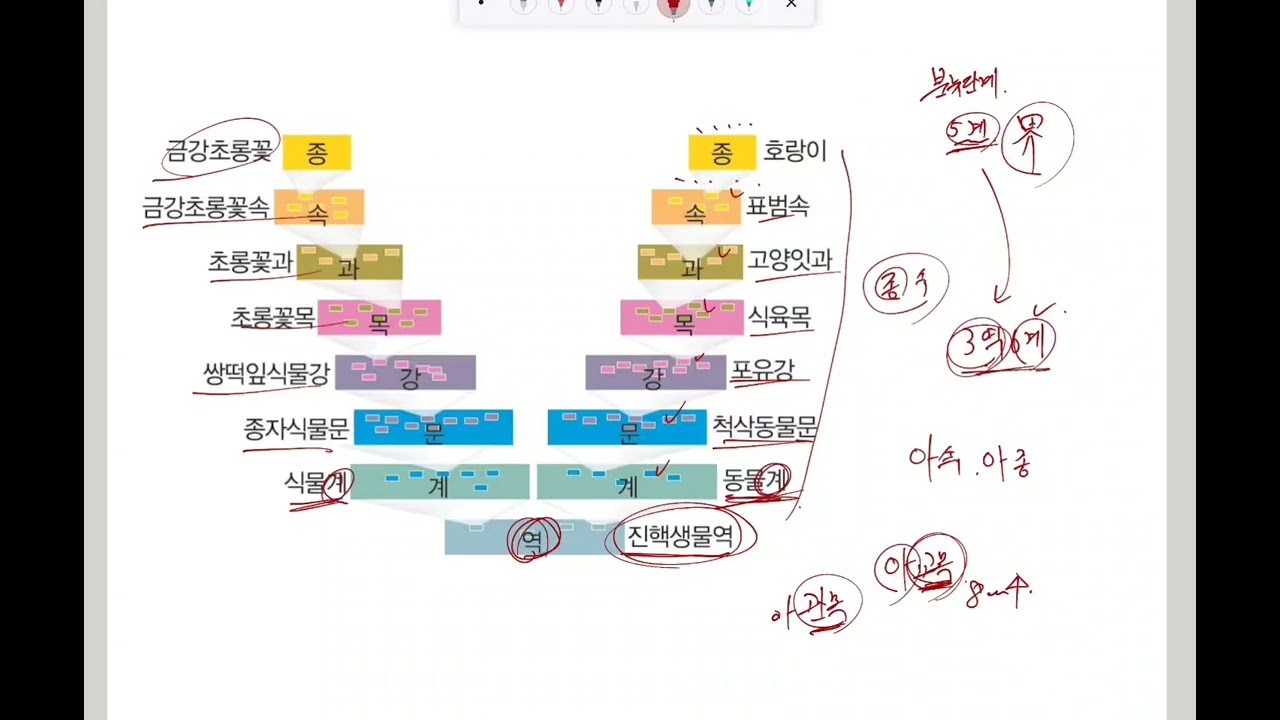생명과학2 24강 생물의 분류