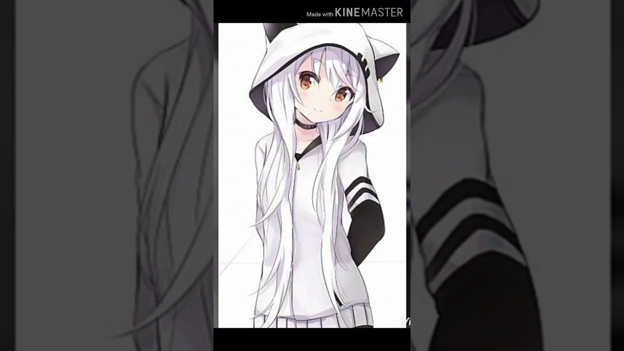 اجمل صور انمي بنات على شكل قطط🐈🐱😺