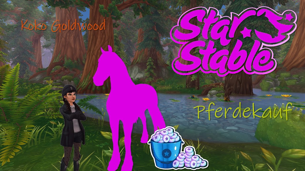 Star Stable💛🐴Pferdekaufvideo💛💫