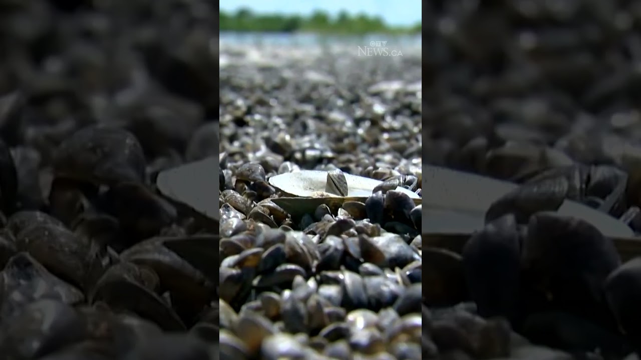 Motorized watercraft banned on Clear Lake, Manitoba