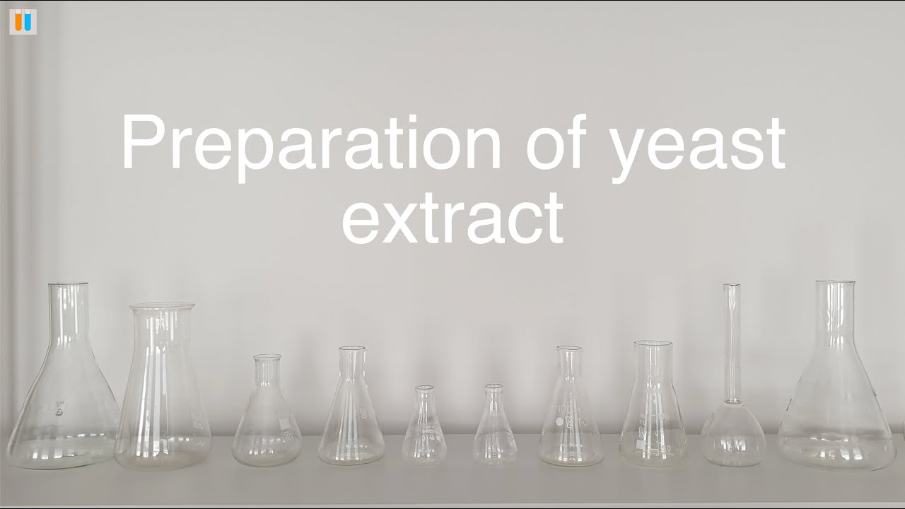 2.2 Preparation of yeast extract