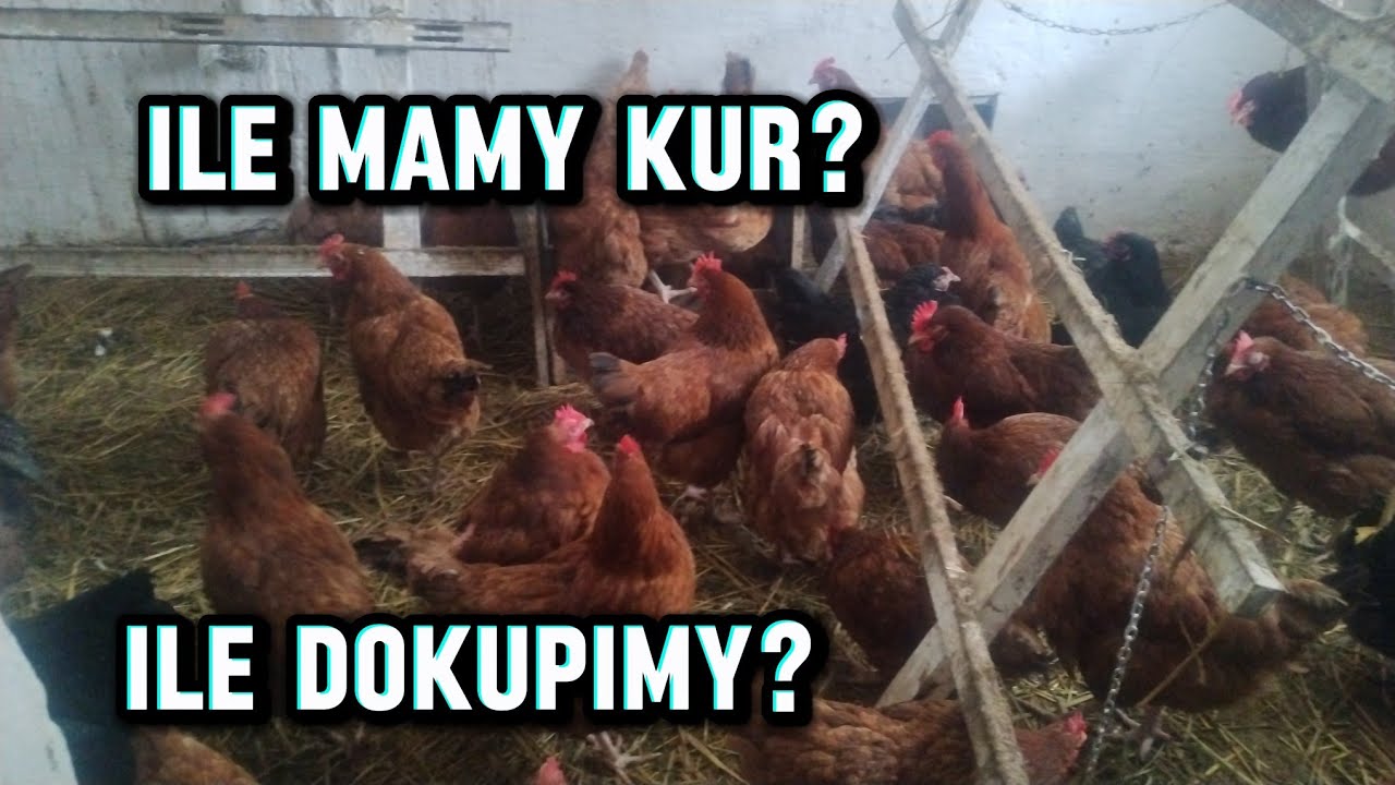 393. Niedzielne wiadomości i rozmaitości...