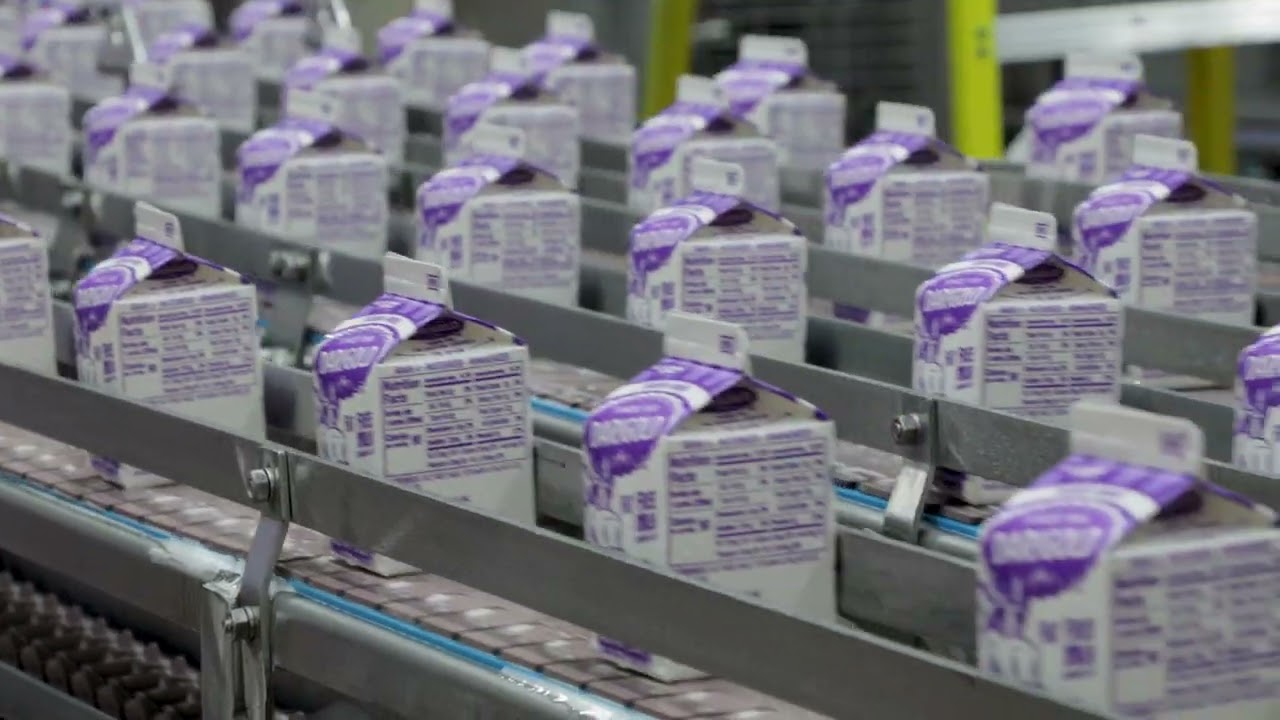 How Our Mini Cartons Are Made