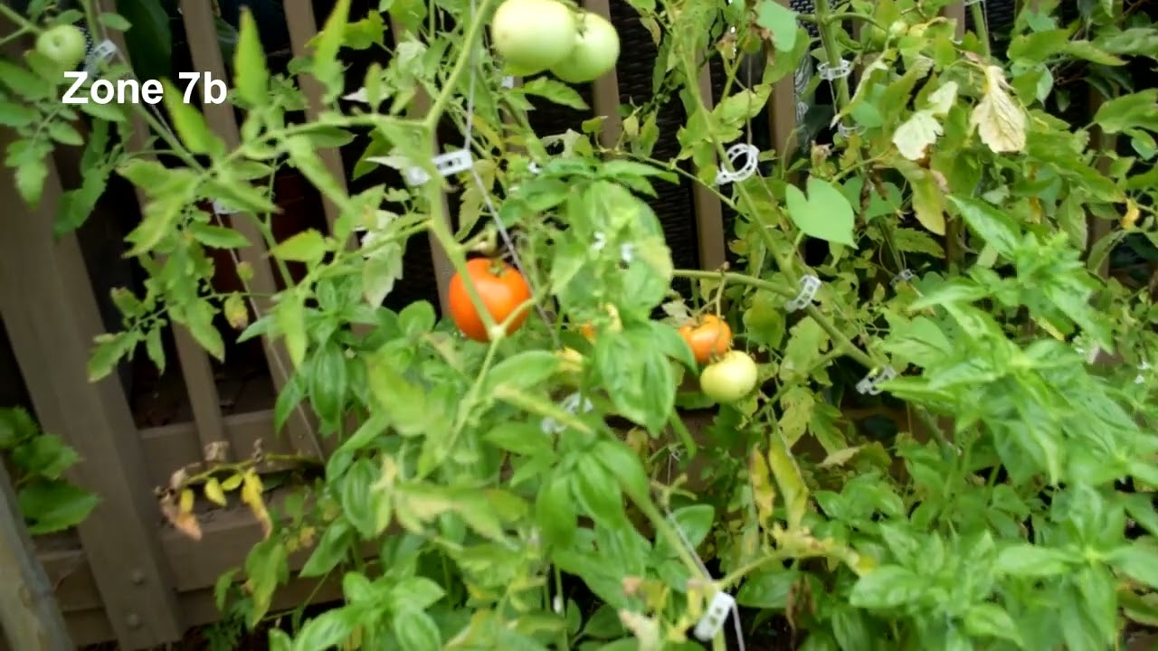 Small Garden tour