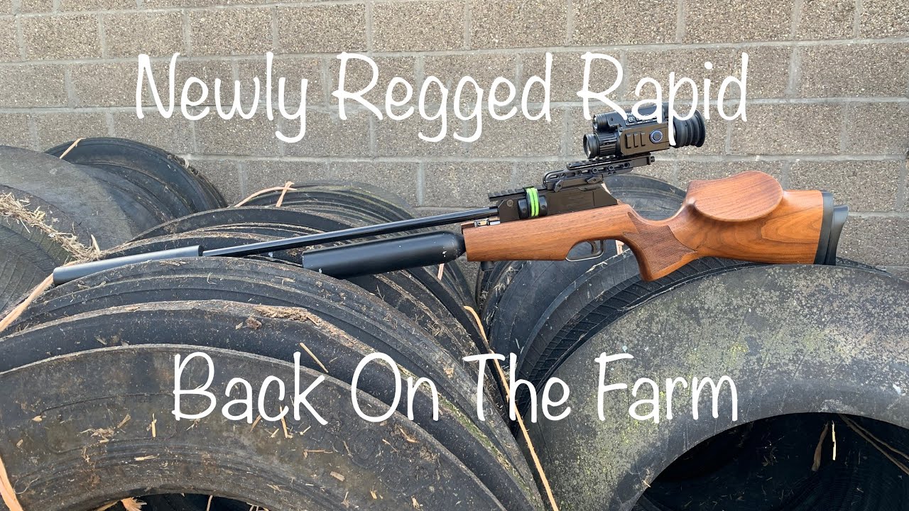 #41 Regged Rapid In The Farmyard