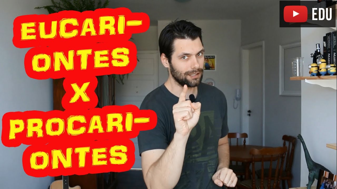 C&eacute;lulas Eucariontes x Procariontes: Principais Diferen&ccedil;as