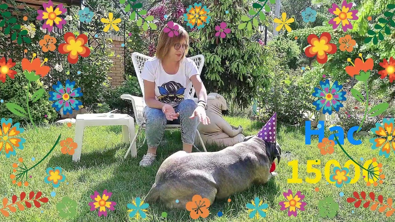 Наша зіронька Шада іменинниця! 🎉🎊Що новенького з троянд зацвіло🌹🌹🌹