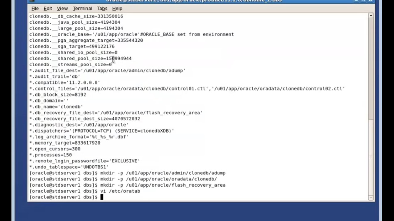 Cloning oracle database manually using online hot backup