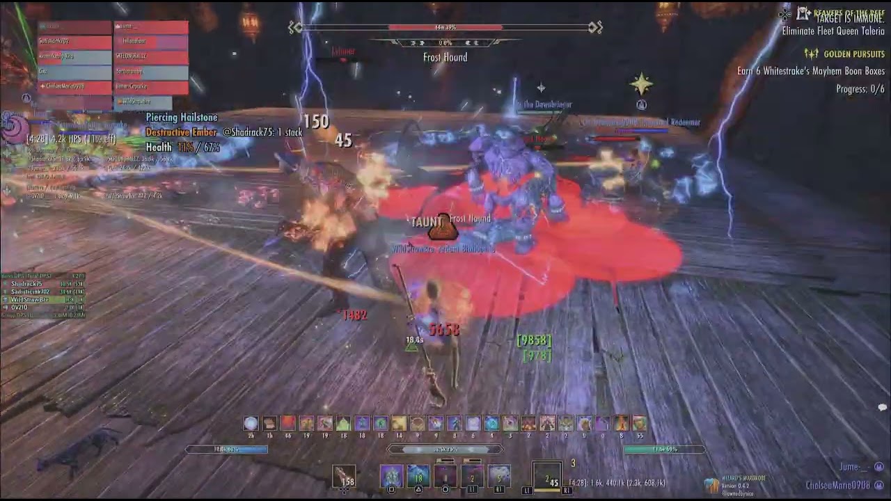 HH 1st boss clear Tank POV Day 8.