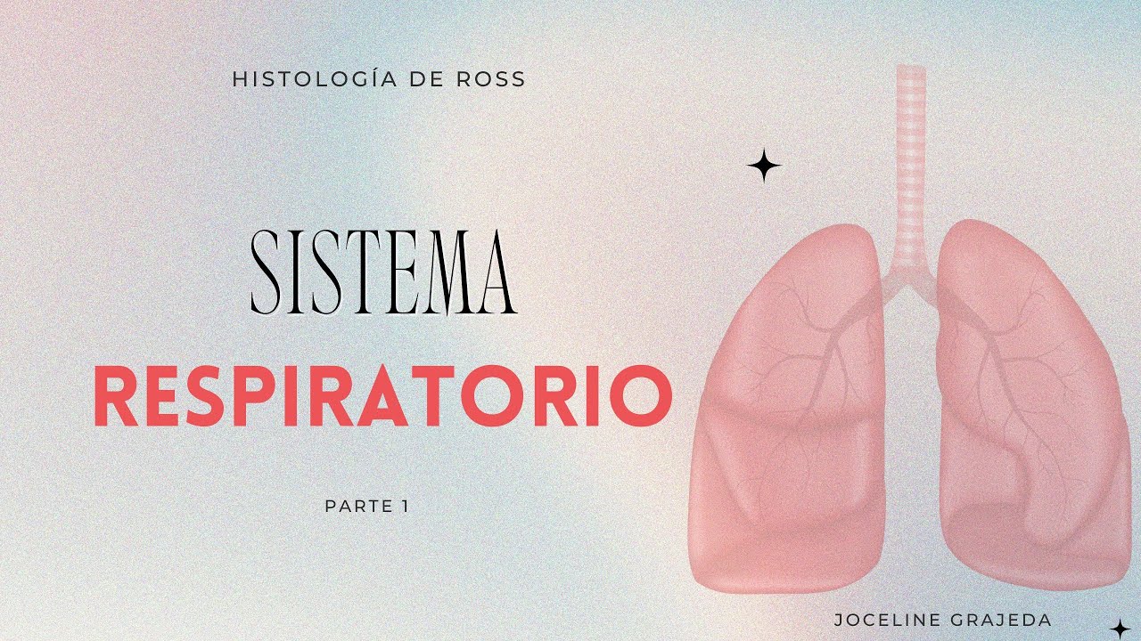 Sistema respiratorio | Parte 1 | Histología de Ross