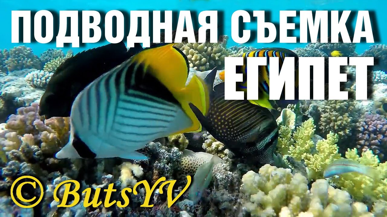 Египет. Подводная съемка с экскурсионной субмарины. Underwater shooting from submarine.