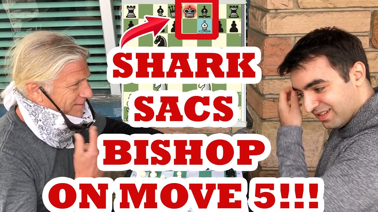 Chess Shark Sacs Bishop On MOVE 5 vs IM Eric Rosen! Jeff The Shark vs IM Eric Rosen