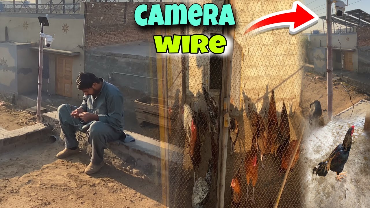 Camera Wire Repair 😱 | Murgiyon Ke Liye Aata Banaya 🐓