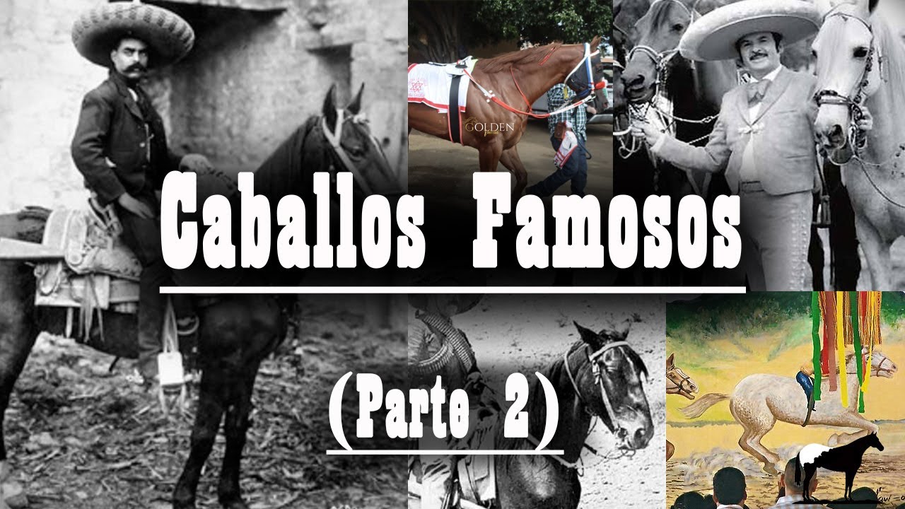 ¿Sabes Cuales Son Los Caballos Mas Famosos De México? ¡¡COMENTALOS¡¡ (Parte 2) 🐴-Del Cerro Soy