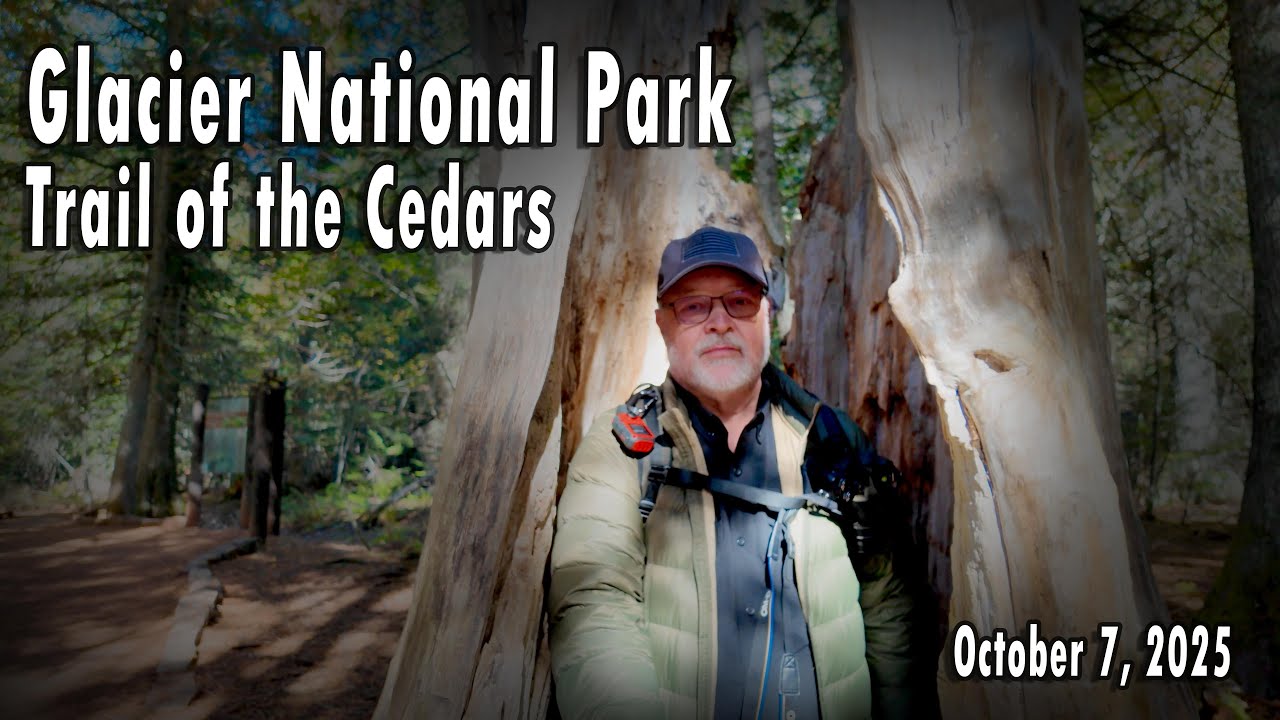 Trail of the Cedars | Glacier National Park | 4K