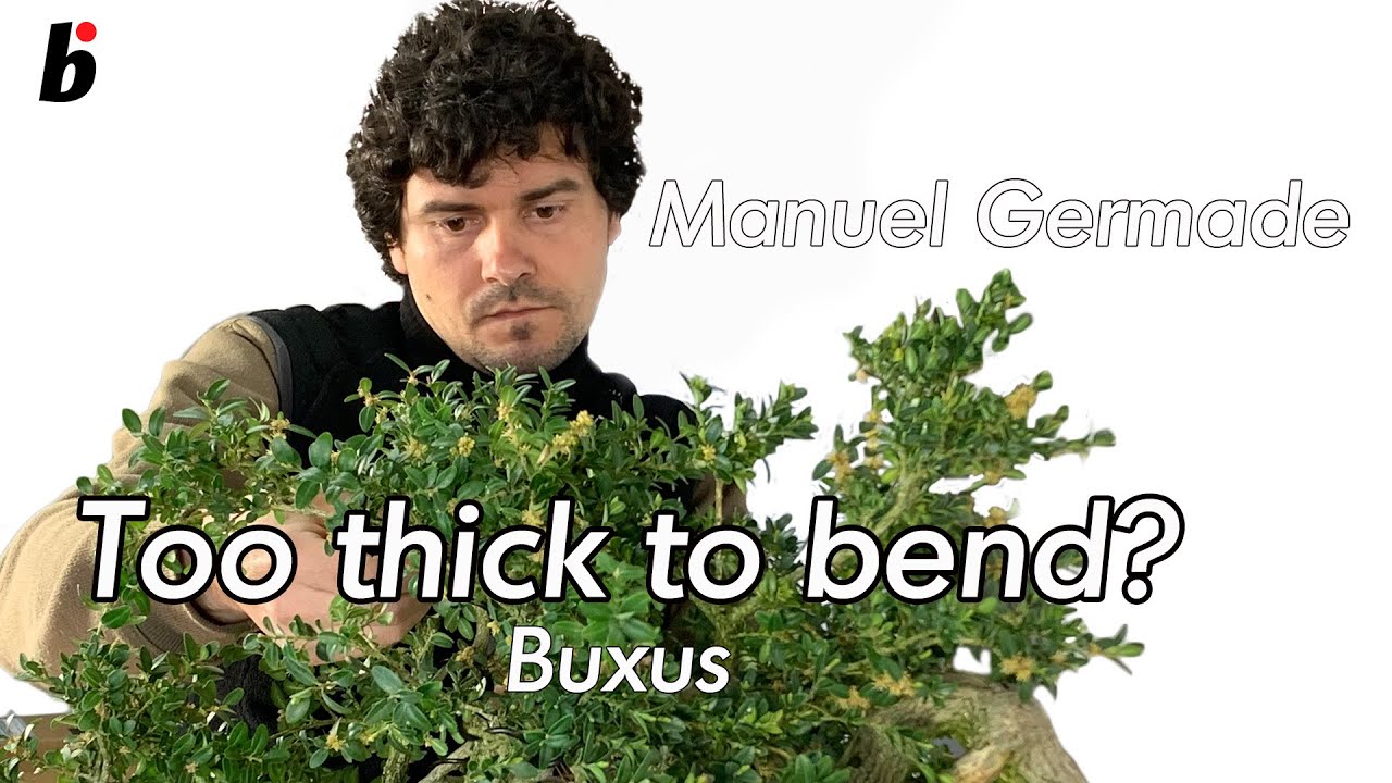 Too thick to bend? part 3