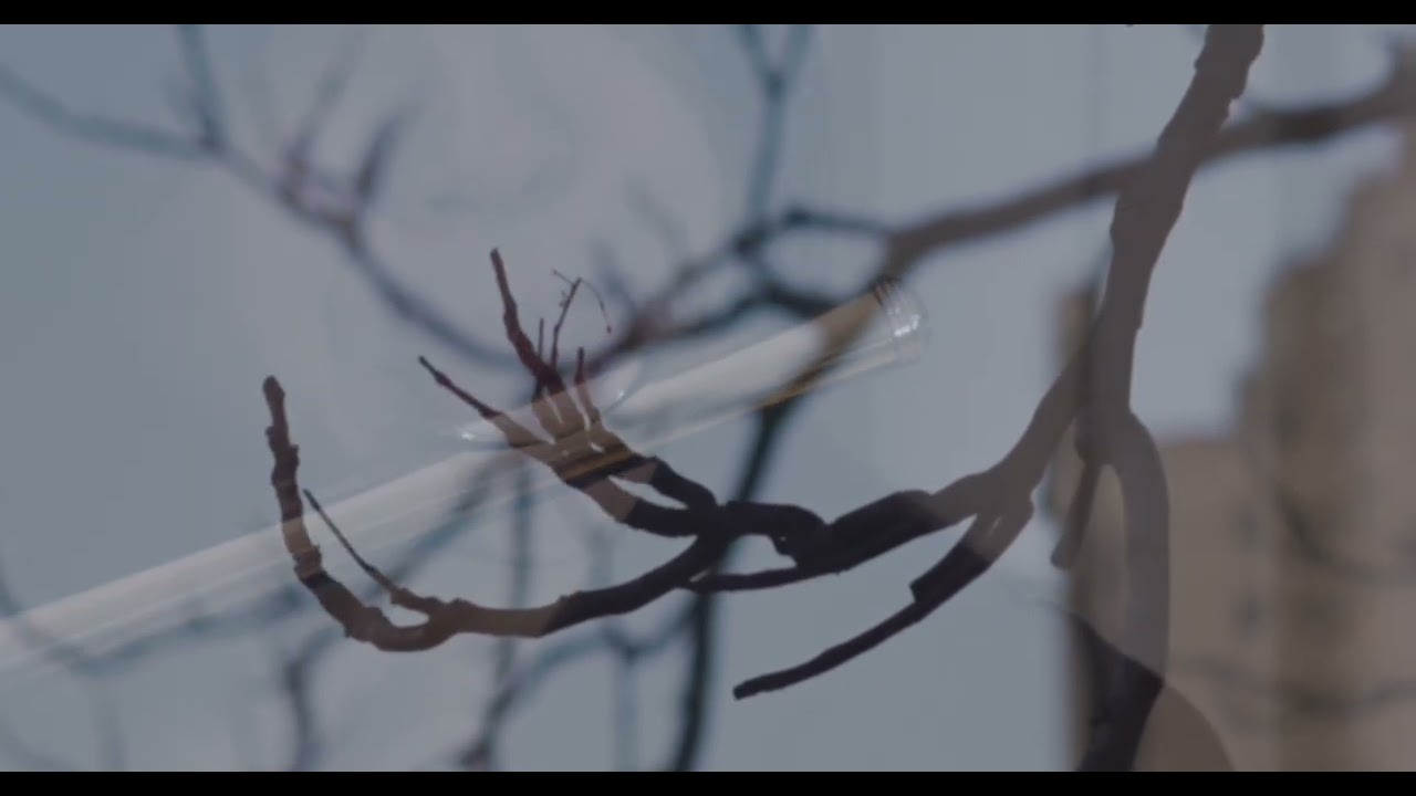 Petrichor - Emre Şener/ Ellie Eunbi Baek