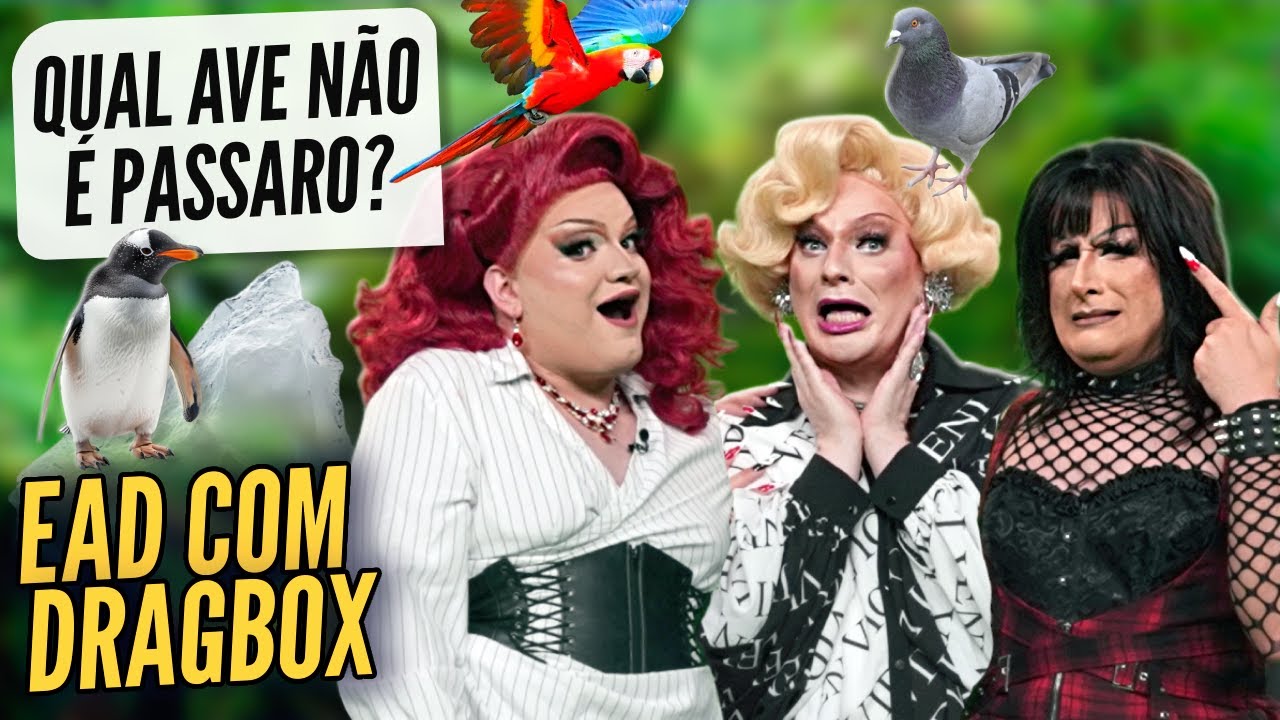 Lorelay Fox Responde Perguntas no EAD com Dragbox