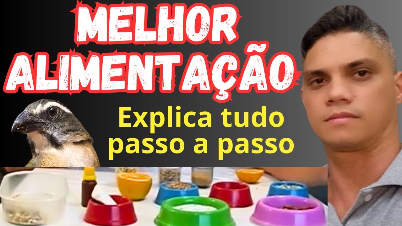 😎COMO CRIAR TRINCA FERRO V&Iacute;DEO 3 ( ALIMENTA&Ccedil;&Atilde;O )