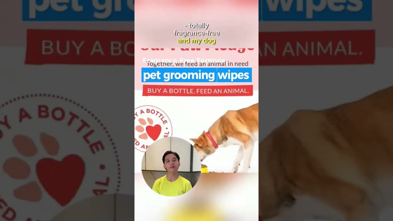 SKOUT'S HONOR Pet Grooming Wipes for CATS 