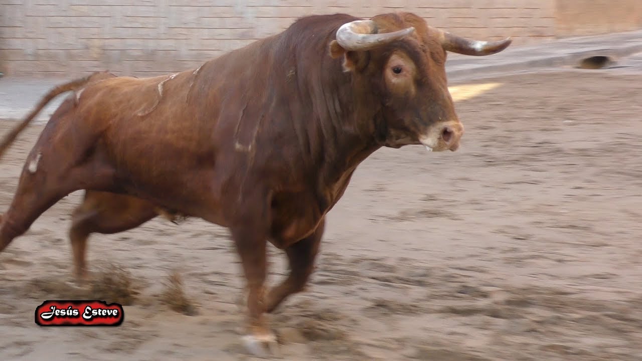 LA VALL d'UIXO 07 07 2018 CARMEN BORRERO