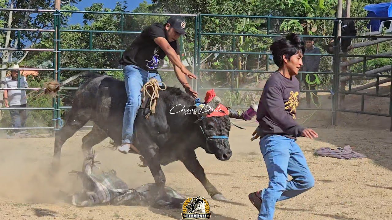 SANTA MARIA YOHUECHE ASI SE VIVIO EL JARIPEO RANCHERO TRADICIONAL SEPTIEMBRE 2025